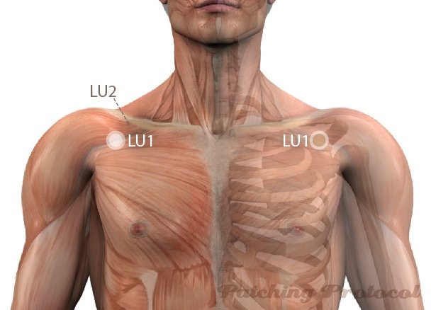 Location for Lung 1 or LU1 Acupoint