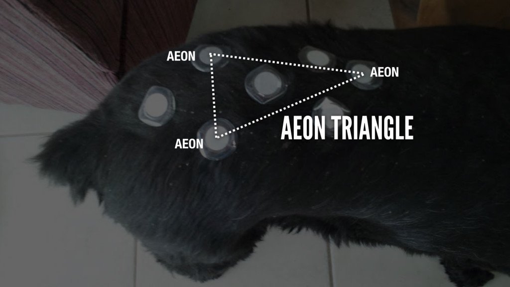 Lifewave Patches for pain - Circle/Oval Protocol - AEON Triangle