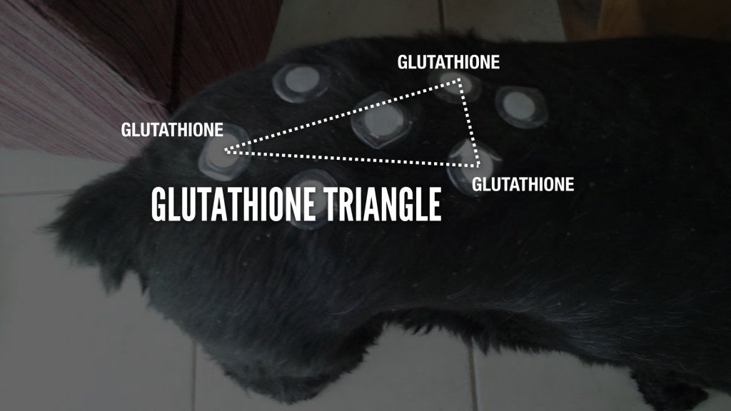 Lifewave Patches for pain - Circle/Oval Protocol - GLUTATHIONE Triangle