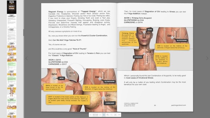 Lifewave Patches Powerful Combinations Book